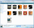 Windows Vista Explorer - Details Pane