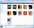 Windows Vista Explorer - Details Pane